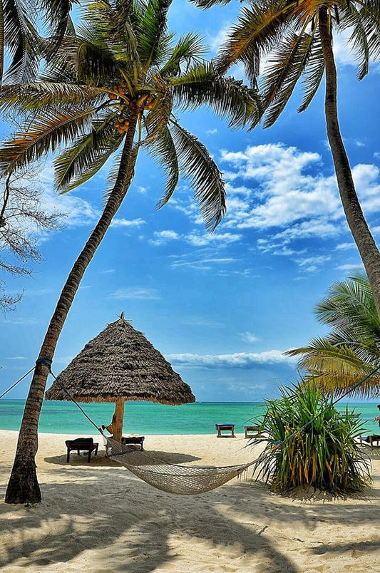 Zanzibar : 6 to 11 August 2025= R19 000